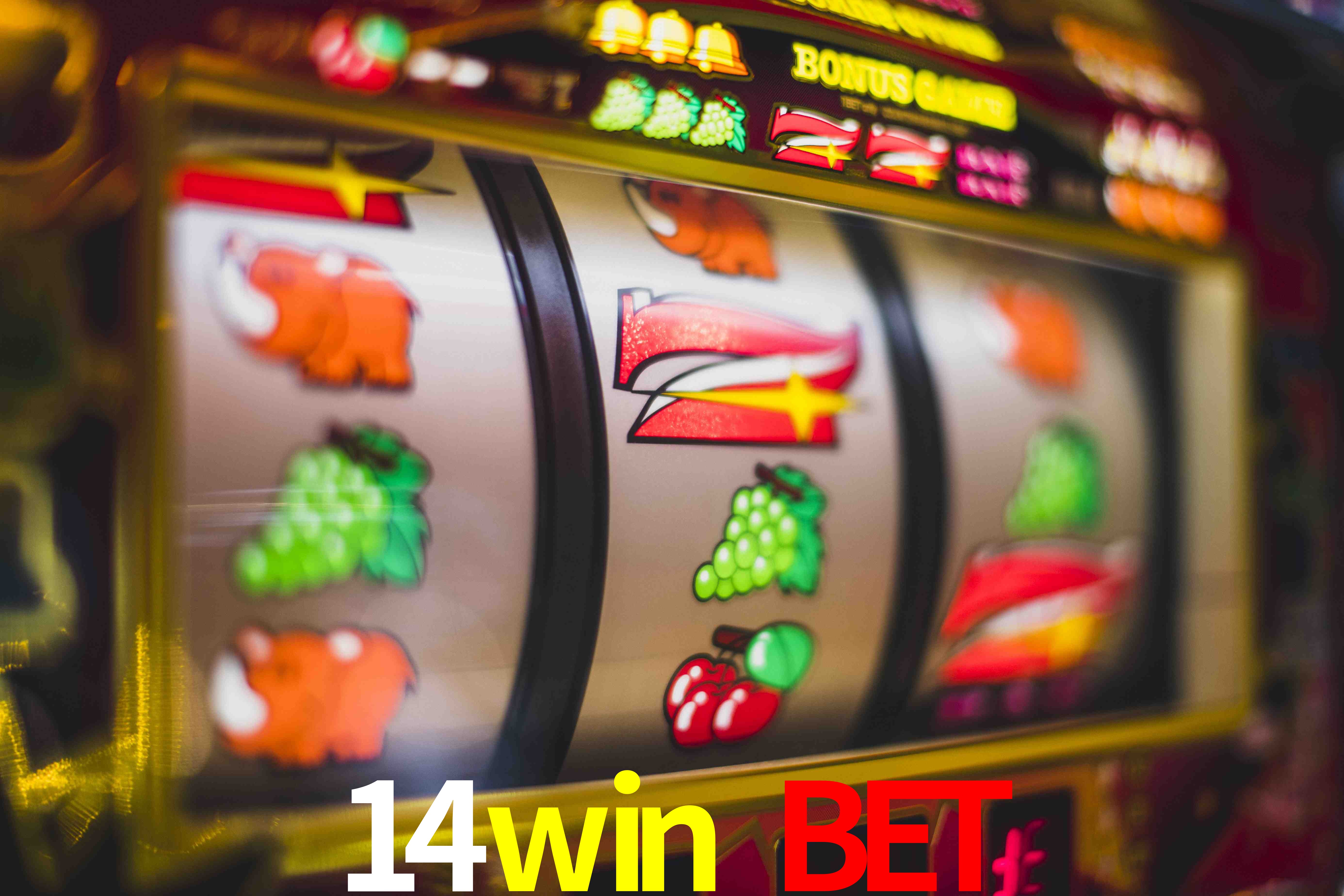 Basketball Betting 14win bet