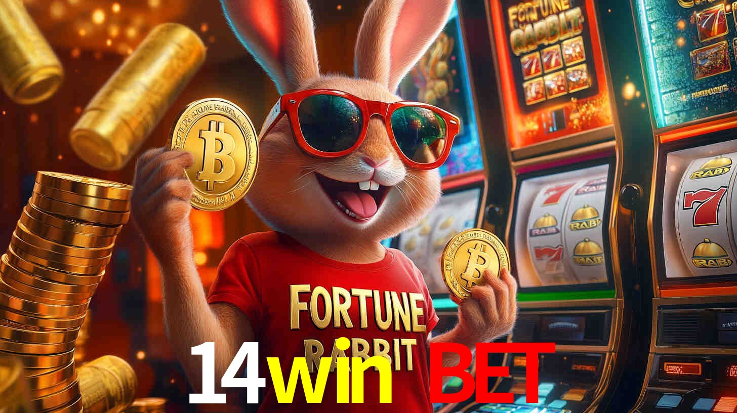 Apostas Esportivas na 14win bet: Um Guia Completo